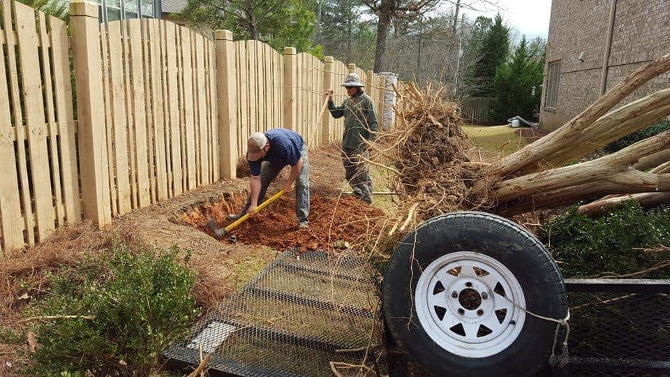 tree removal in Atlanta, GA