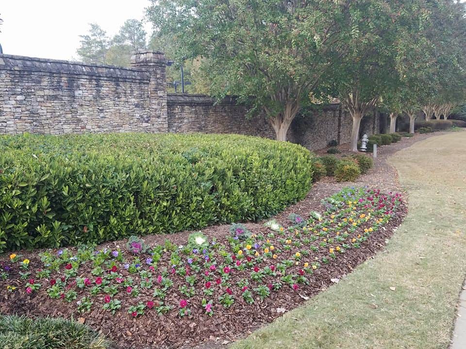 commercial shrubs in Atlanta, GA